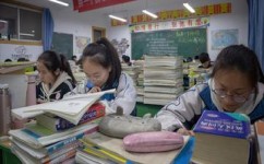 怎么培养自主学习能力(提升自主学习能力的技巧) 怎么培养自主学习能力(提升自主学习能力的技巧)