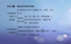 生物如何理解定义知识(理解生物定义和概念的方法)