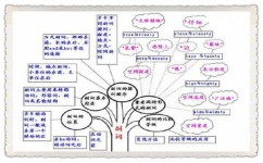 如何掌握英语语法规律(掌握英语语法规律的策略) 如何掌握英语语法规律(掌握英语语法规律的策略)