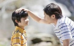 如何使用记忆的规律去积累素材(积累素材的策略) 如何使用记忆的规律去积累素材(积累素材的策略)