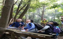 怎么样去提升胆量(提升胆量的策略) 怎么样去提升胆量(提升胆量的策略)