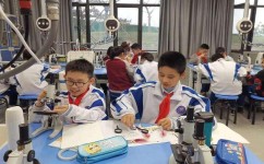 怎么样学好数理化(学好数理化的策略)