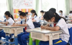 该如何高效刷题(高效进行刷题的建议)